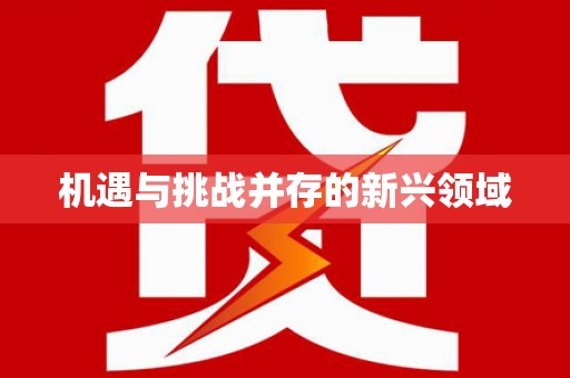 新会机遇与挑战并存的新兴领域