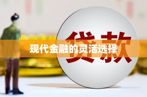 新会现代金融的灵活选择