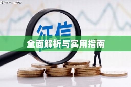 新会全面解析与实用指南
