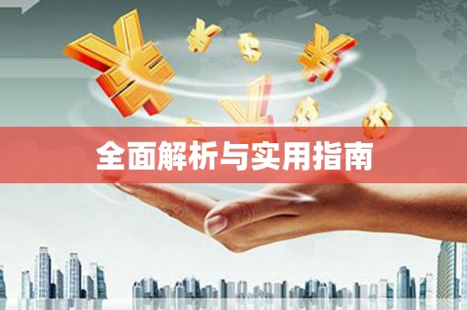 新会全面解析与实用指南