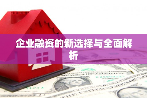 新会企业融资的新选择与全面解析