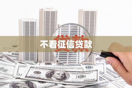 新会不看征信贷款