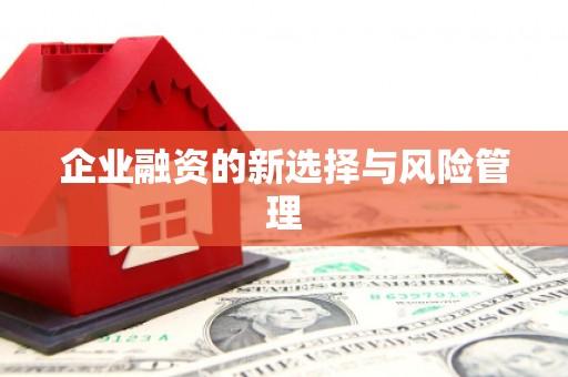 新会企业融资的新选择与风险管理