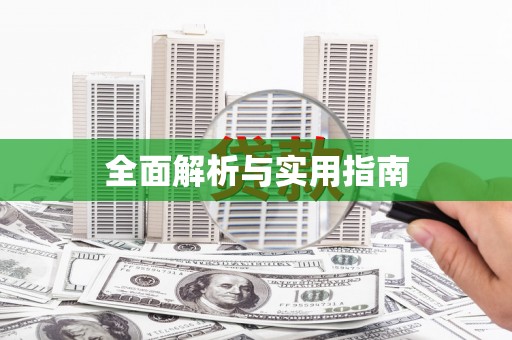 新会全面解析与实用指南