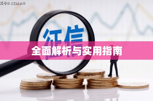 新会全面解析与实用指南