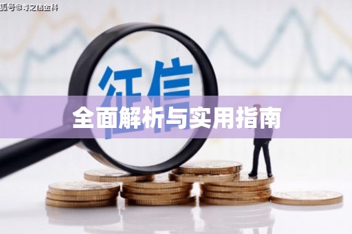 新会全面解析与实用指南