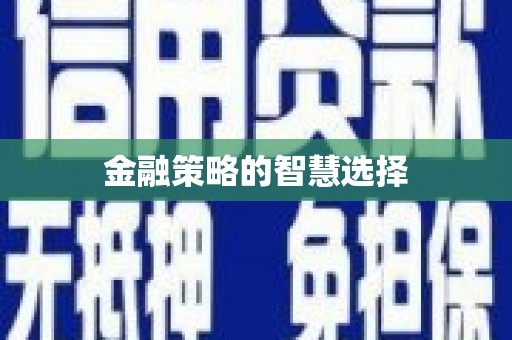 新会金融策略的智慧选择