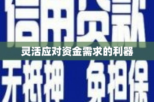 新会灵活应对资金需求的利器