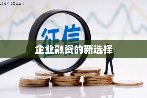 新会企业融资的新选择