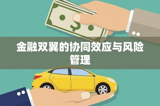 新会金融双翼的协同效应与风险管理