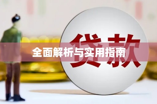新会全面解析与实用指南