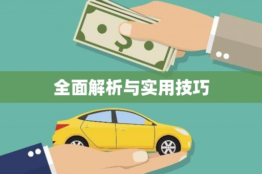 新会全面解析与实用技巧