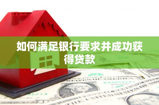 新会如何满足银行要求并成功获得贷款