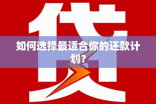 新会如何选择最适合你的还款计划？