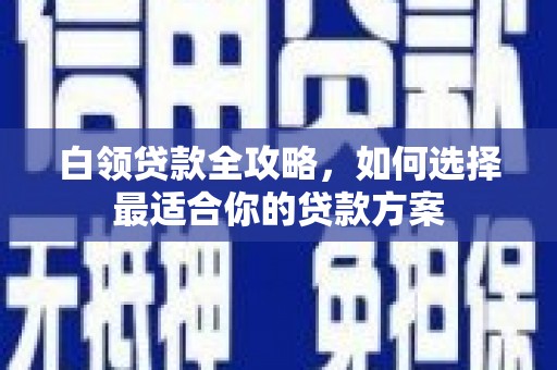 新会白领贷款全攻略，如何选择最适合你的贷款方案