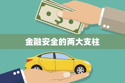 新会金融安全的两大支柱