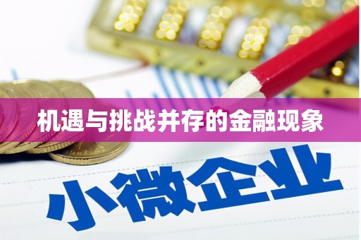 新会机遇与挑战并存的金融现象