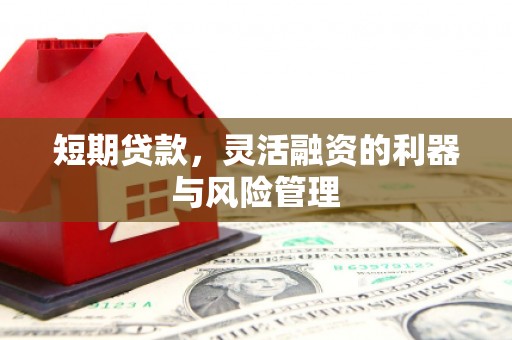 新会短期贷款，灵活融资的利器与风险管理