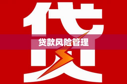 新会贷款风险管理