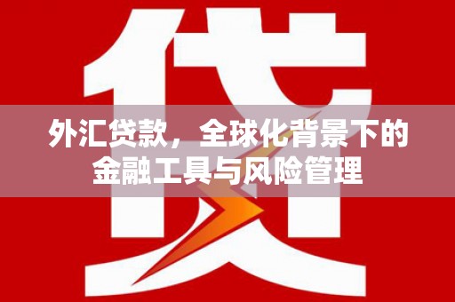 新会外汇贷款，全球化背景下的金融工具与风险管理