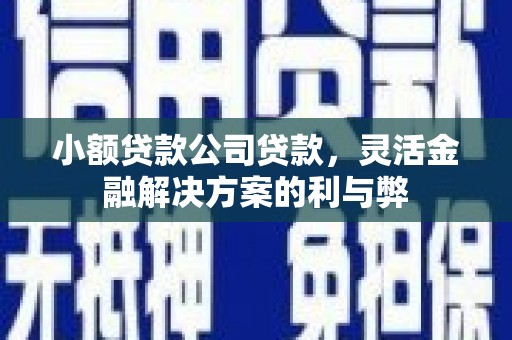 新会小额贷款公司贷款，灵活金融解决方案的利与弊