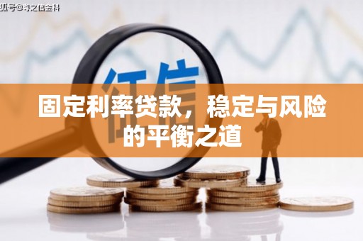新会固定利率贷款，稳定与风险的平衡之道