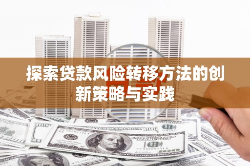 新会探索贷款风险转移方法的创新策略与实践