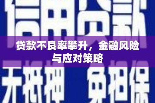新会贷款不良率攀升，金融风险与应对策略