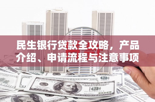 新会民生银行贷款全攻略，产品介绍、申请流程与注意事项